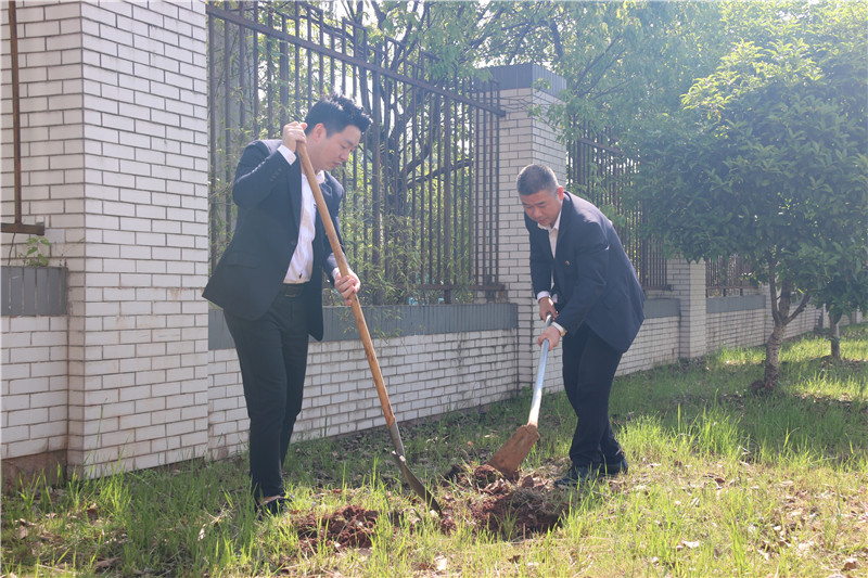 ����Ǯ������