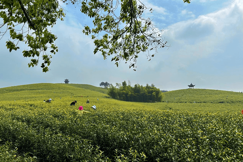 ����Ǯ������