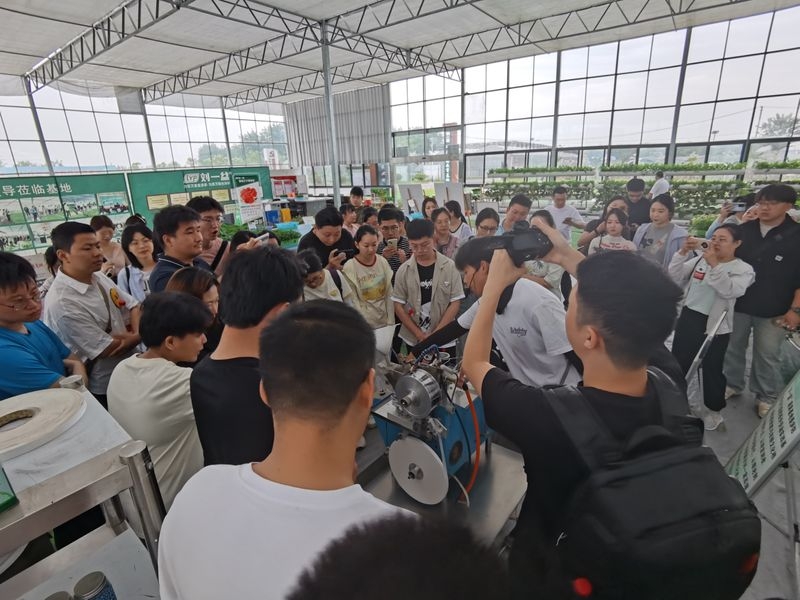 ����Ǯ������