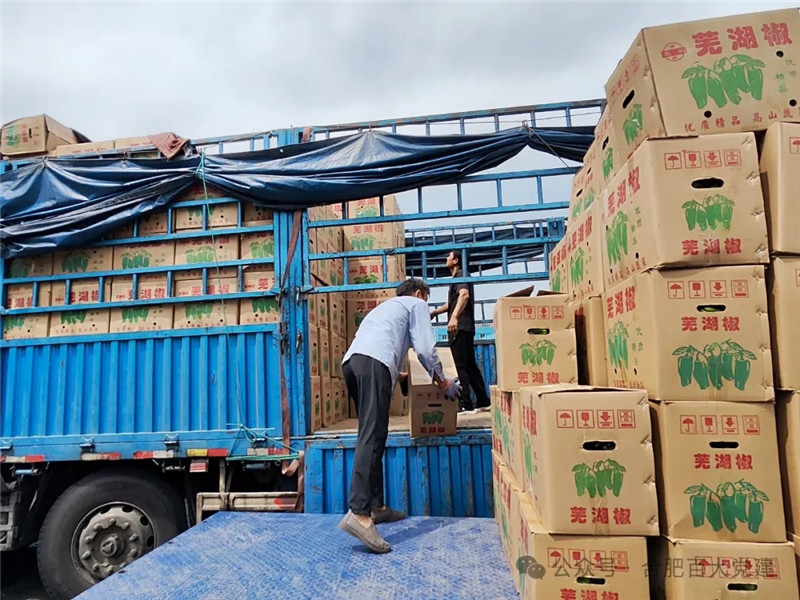 ����Ǯ������