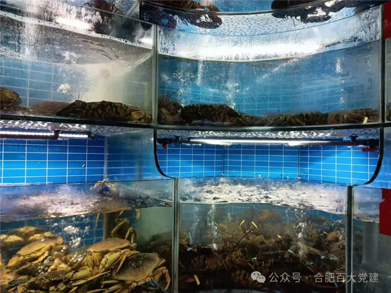 ����Ǯ������