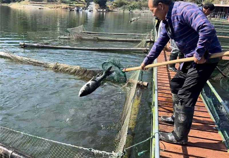 ����Ǯ������