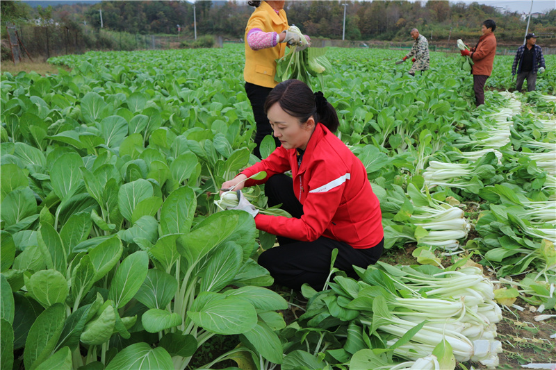 ����Ǯ������