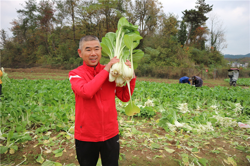 ����Ǯ������