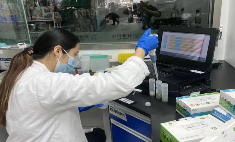 ����Ǯ������