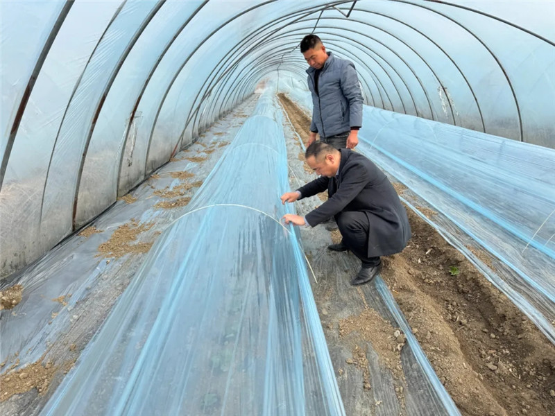 ����Ǯ������