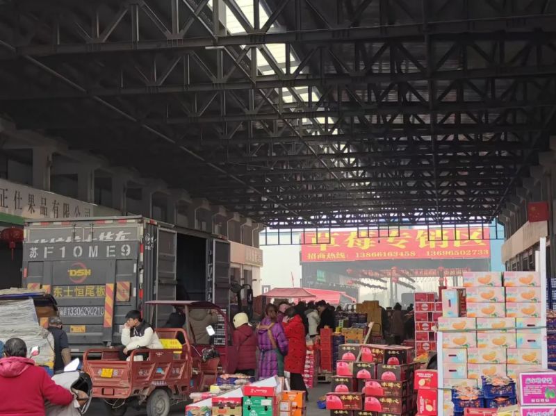 ����Ǯ������