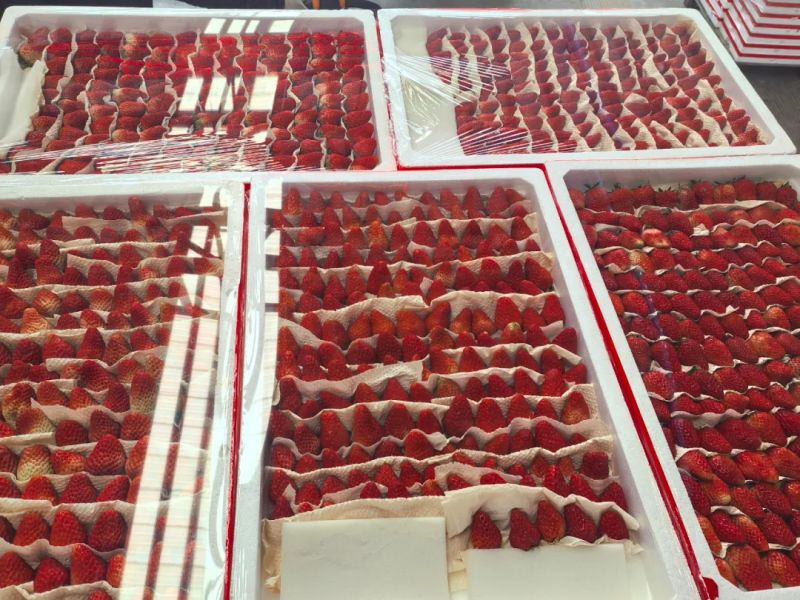 ����Ǯ������