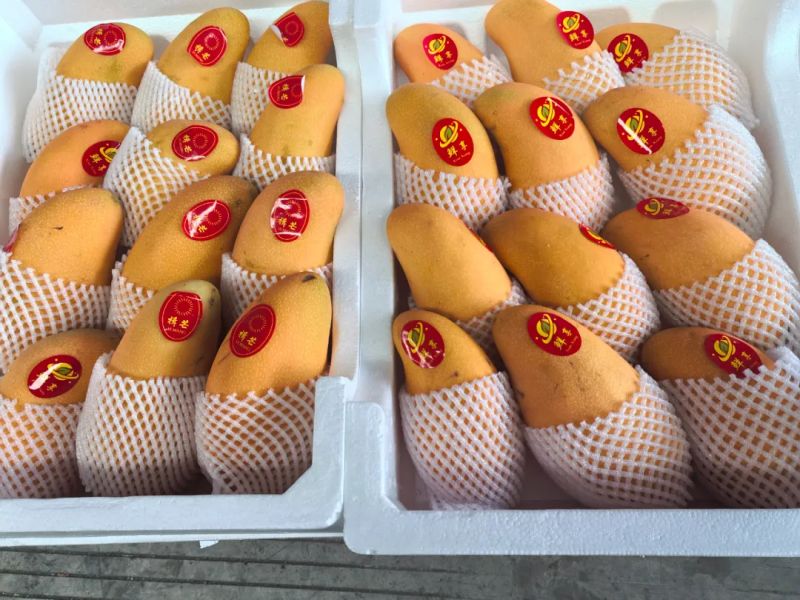 ����Ǯ������