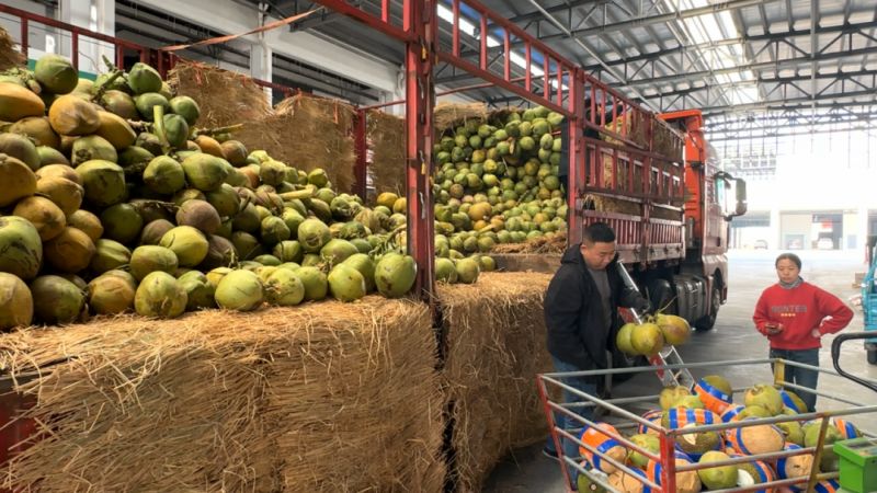 ����Ǯ������