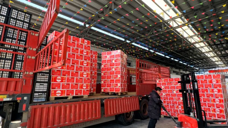 ����Ǯ������