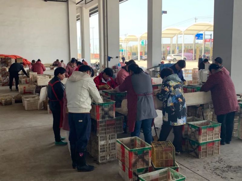 ����Ǯ������