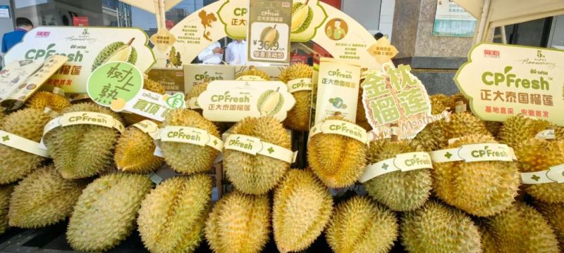 ����Ǯ������