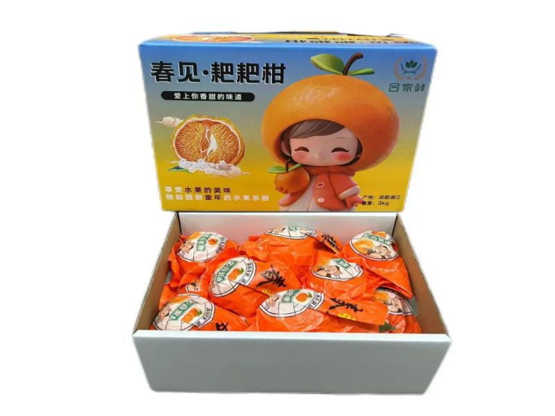 ����Ǯ������