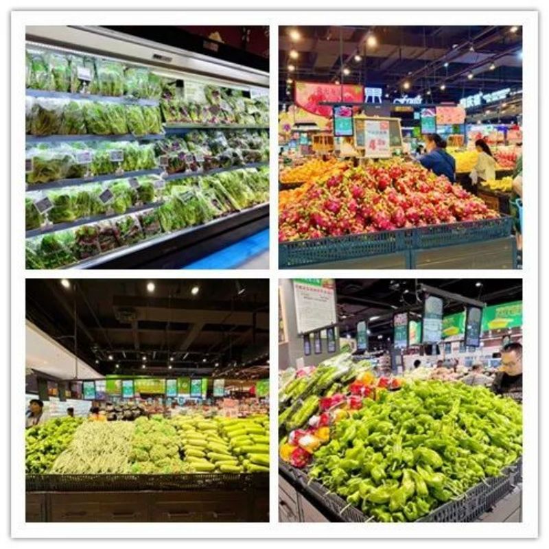 ����Ǯ������